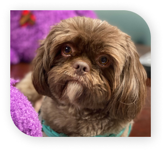 Gumbo's staff picture.