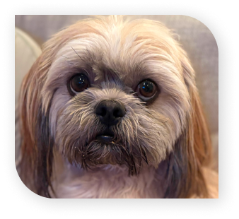 Benny's staff photo.