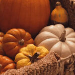 a layout of gourds and squash in a rustic basket