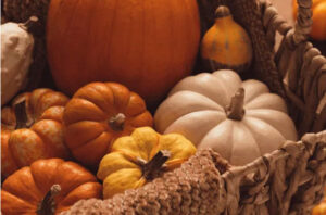a layout of gourds and squash in a rustic basket